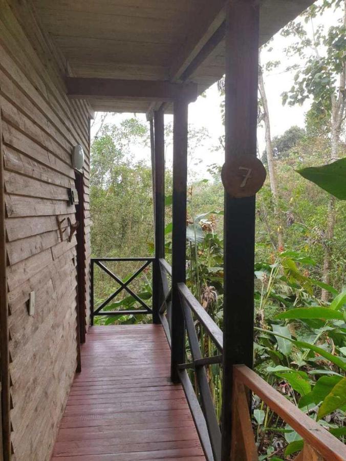 Villa El Dorado Nature Reserve Minca Exterior foto